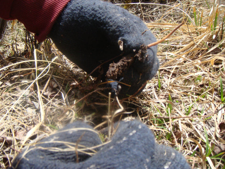 ���r���x(ch��ng)�ĲݵĘ���,���r���x(ch��ng)�Ĳ�,���r�x(ch��ng)�݈DƬ