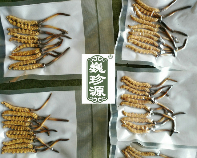 �r�x��,���r���x�Ĳ�,���r�x�ݺ͸��x���Ă��I�B(y��ng)�rֵ��,���x�Ĳ����r�ĺ͸ɵ��Ă��I�B(y��ng)�rֵ��,���r�x�ݺ͸��x�ݠI�B(y��ng)�rֵ�Ă�����