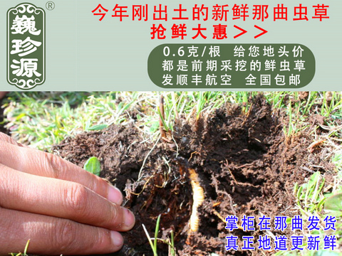 ���r���x�Ĳ����������r�x����Ρ��Դ0.6��/���^�����r�������x�Ĳ��������ڳ����������^�����r�x��