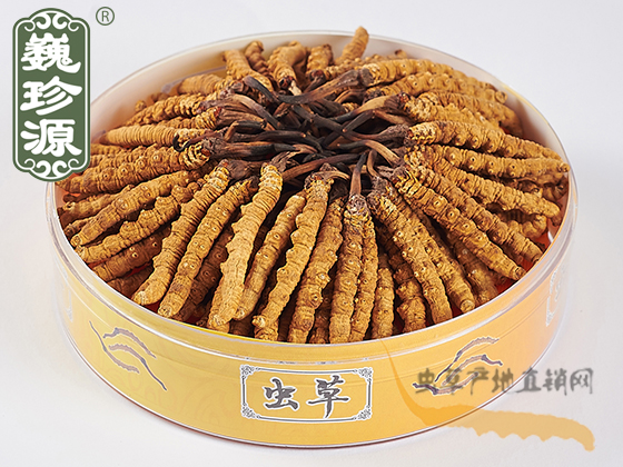 �����x��,�������x�Ĳݣ�2.5��/�������x��