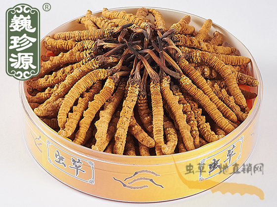 �^�ڶ��x�Ĳ���2��/�������^���x�ݣ����x�Ĳ�