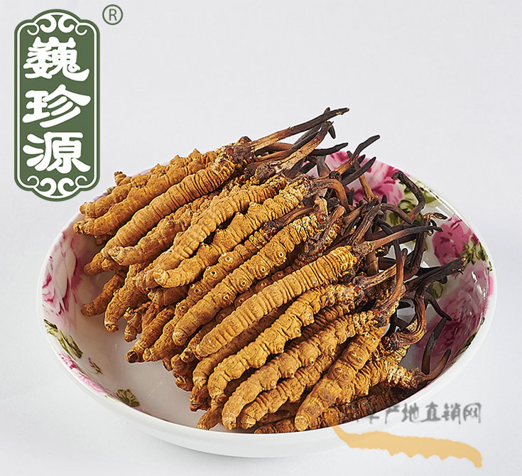 ���x(ch��ng)�Ĳ����x(ch��ng)߀�ǲ�,���x(ch��ng)�Ĳ���ֲ��߀�Ǆ�(d��ng)���x(ch��ng)��,���x(ch��ng)�Ĳ��c���x(ch��ng)�ݵą^(q��)�e,�x(ch��ng)���c���x(ch��ng)�Ĳ��Ѕ^(q��)�eʲô�^(q��)�e