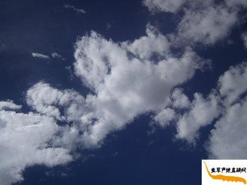 ���x�ĲݵĮa(ch��n)��-���������՚�ܝ���,��Ȼ�h(hu��n)���o��Ⱦ,���(y��u)�|(zh��)�������x�ݮa(ch��n)��